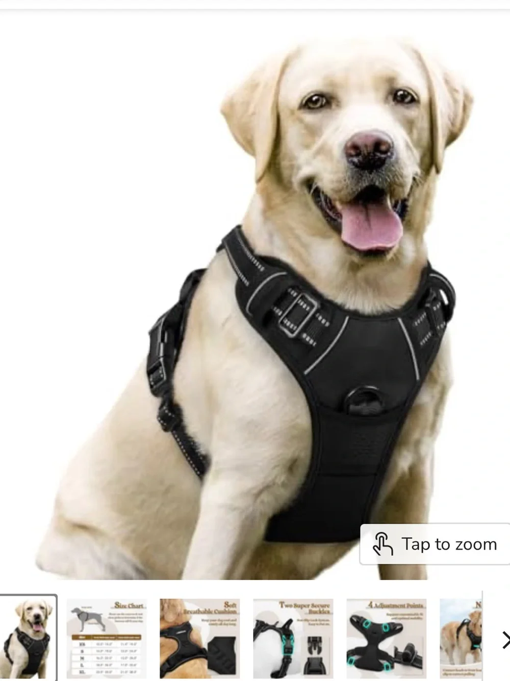 Eddie Bauer durable harness